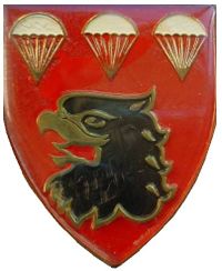 SANDF 3 Para emblem