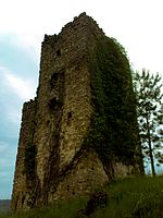 Posert Castle.jpg