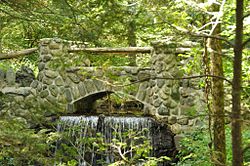 SpotPondBrookFootBridge.jpg