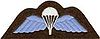 Wings badge.JPG