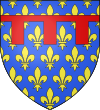 Blason comte fr Anjou.svg