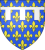 Blason duche fr Orleans (ancien).svg