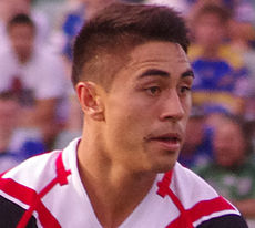 Shaun Johnson 2013 (cropped).jpg