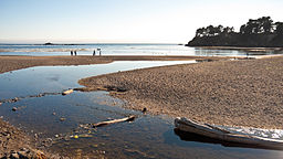 LittleRiverBeach.jpg