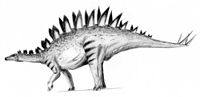 Tuojiangosaurus.jpg