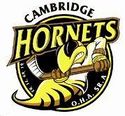 Cambridge Hornets.jpg