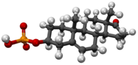 Sulfato de dehidroepiandrosterona3D.png