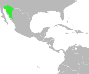 Bufo alvarius distribution.svg