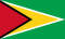 Flag of Guyana