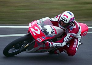 Fausto Gresini 1992 Japanese GP.jpg