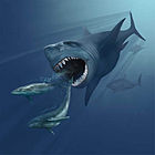 VMNH megalodon.jpg