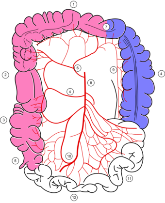 Colonic blood supply.svg