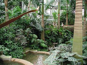 US botanic garden 2.jpg