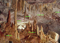 Labeled speleothems.jpg