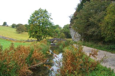 River Bradford 51.jpg