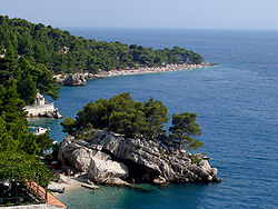 Panoramic view of beach Liskamen (front) and beach Punta Rata in Brela