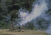 re-enactors on Petersburg National Battlefield