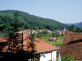 View of the village and the valley of the Falkensteinerbach