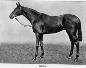 Fairway (horse).jpg