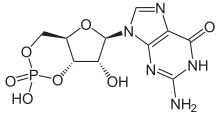 Skeletal formula of cyclic guanosine monophosphate