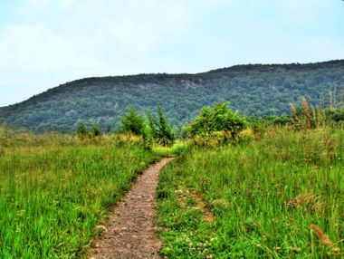 Wawayanda Mountain.jpg