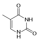 Thymine skeletal.svg