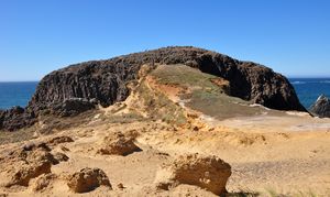 Seal rock.jpg