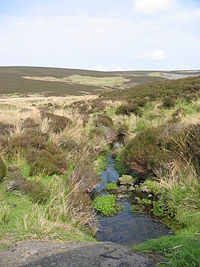 Lammermuir Hills2.jpg