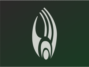 Borg insignia.png