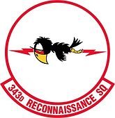 343d Reconnaissance Squadron.jpg