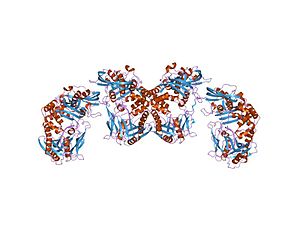 PDB 1xhz EBI.jpg