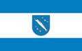 POL Rybnik flag.svg