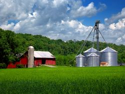 a farm in the township