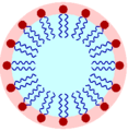 A lipid micelle.png