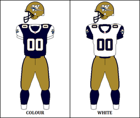 CFL WPG Jersey 1998.png