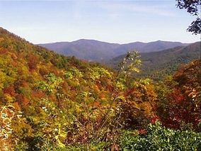 Chattahoochee NF.jpg