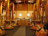 Glenmorangie Distillery Stills.jpg