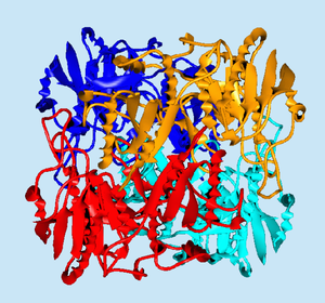 L-Asparaginase.png