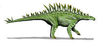 Huayangosaurus BW.jpg