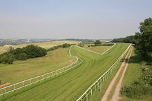 Salisbury racecourse.jpg