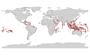 Milleporidae map.png