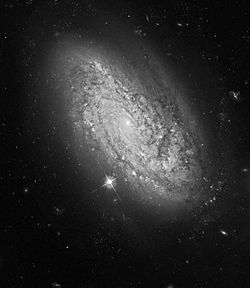 NGC 3021 Hubble.jpg