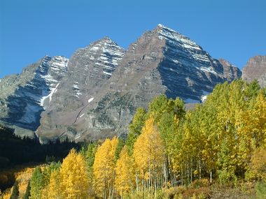 Maroon Bells Aspens.JPG