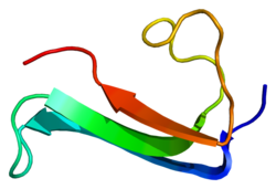 Protein MDK PDB 1mkc.png