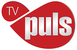 TV Puls logo.jpg