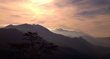 Morning at Ponmudi.jpg