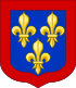 CoA Anjou moderne.svg