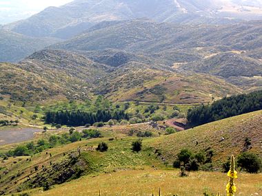 Lykaion looking East.jpg