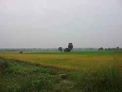 Rural landscape near Peravurani