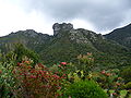 Castle Rock from Kirstenbosch.jpg